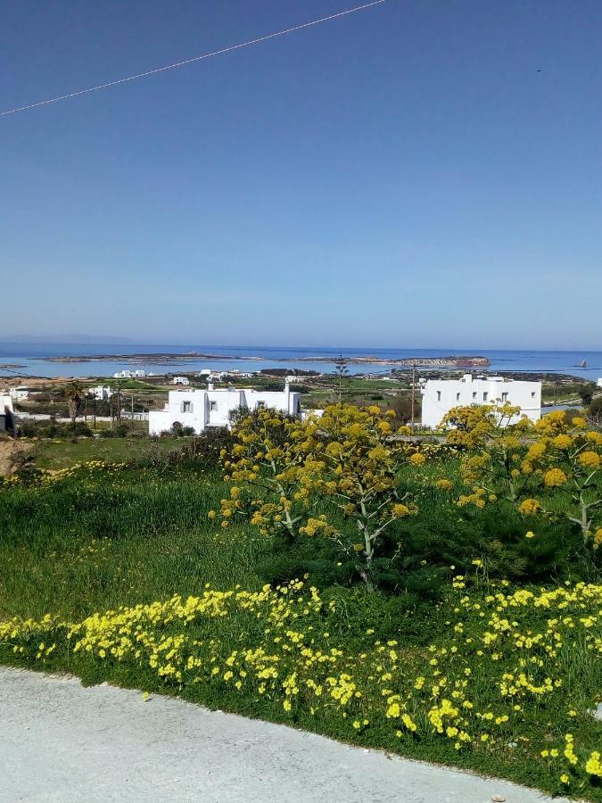 Traditional House Paros Sarakiniko  Exterior photo