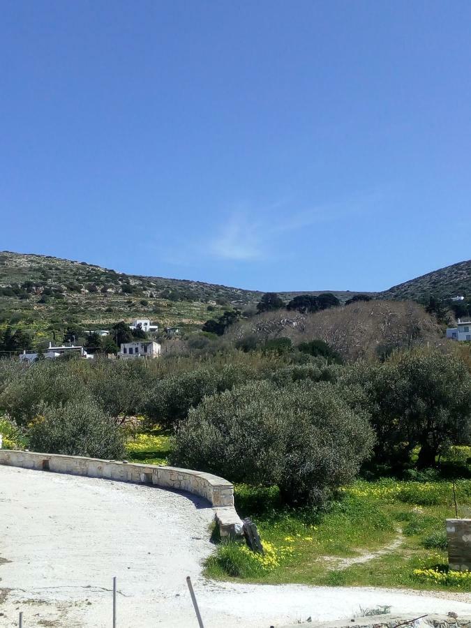 Traditional House Paros Sarakiniko  Exterior photo